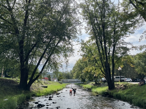 Young people standing in a small stream holding a net