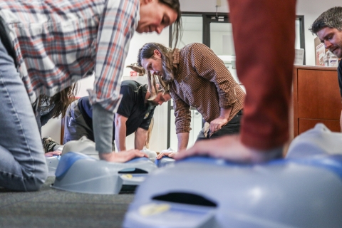 Several people kneeling practicing CPR on dummies