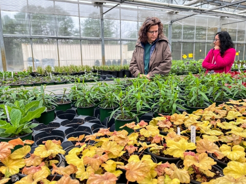 Two woman in a greenhouse amidst numerous potted plants
