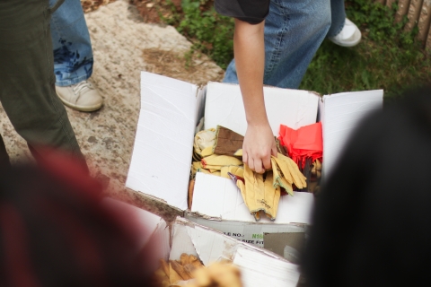 Hands reaching into a box of gloves