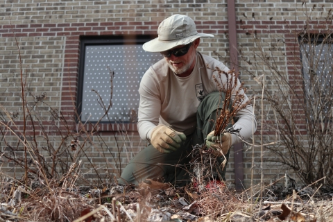 Man kneeling down, working in a garden