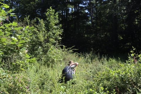 Person walking through brush with a full plastic trash bag over their shoulder