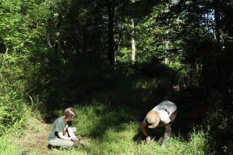 Two people in a grassy clearing pulling plants