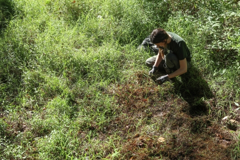 Woman kneeling in a grassy patch, pulling plants