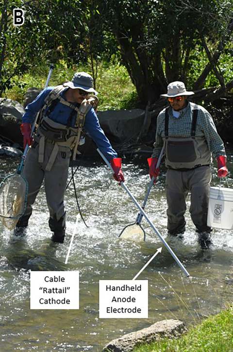Backpack shocker with one handheld electrode and a trailing cable electrode (“rattail”)