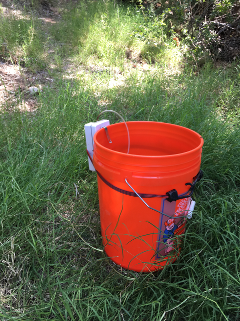 Five-gallon bucket equipped with an optional aerator 
