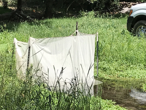Fish Holding Net Pens