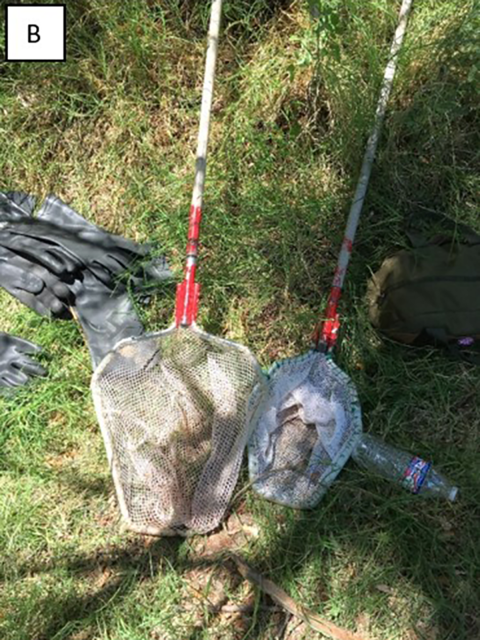 Two stream dip nets of different size and shape.