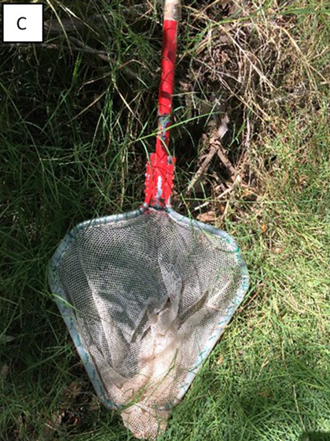 Example of a dip net with a narrower leading edge