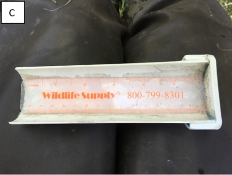 A), B), & C) Examples various sized length boards for measuring fish length. C