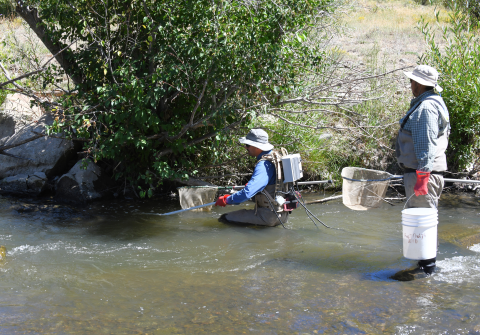Two-person crew sampling a deeper habitat