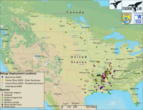 Osborne Lab Band Recovery Map