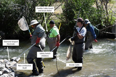 Hand-held electrode (anode when using direct current).