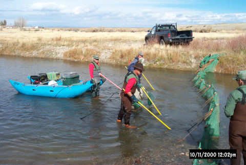 Sample stream segments can be with or without block nets.
