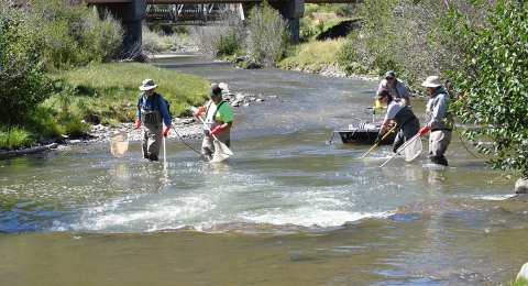 Barge crew with two hand-held electrodes 