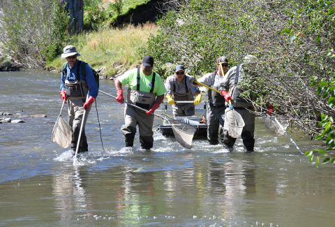 Barge crew with two hand-held electrodes B
