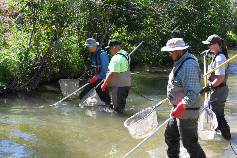 Closeup of anode crews.