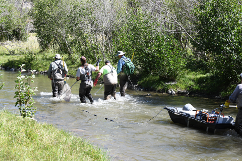 Rearview of the two-anode barge crew operation.
