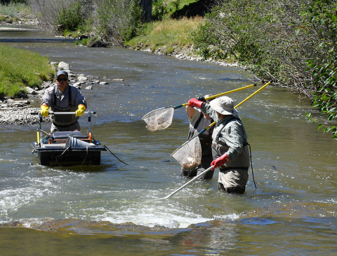 Operator is transferring his catch