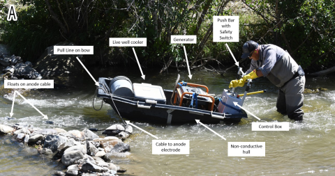 Barge electrofisher major components