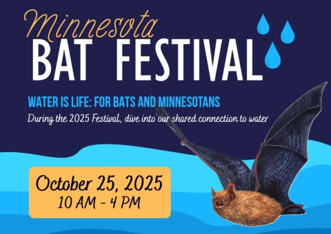 2025 MN Bat Festival Logo