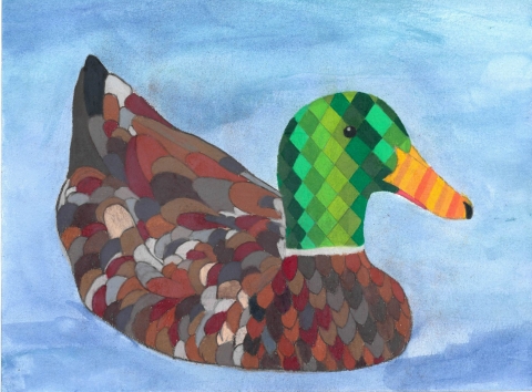 Mallard_Jr. Duck Stamp_Bhaanavi Kumar