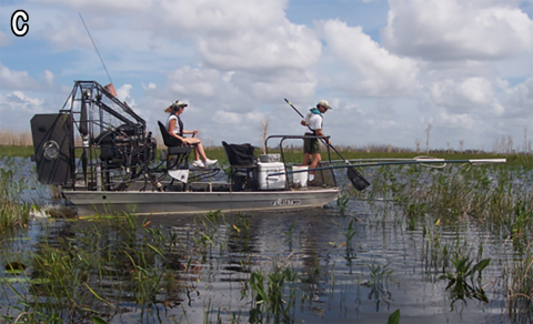 Boat electrofishing example 3