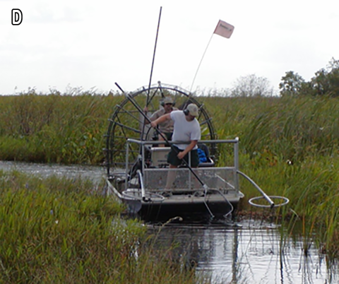 Boat electrofishing example 4