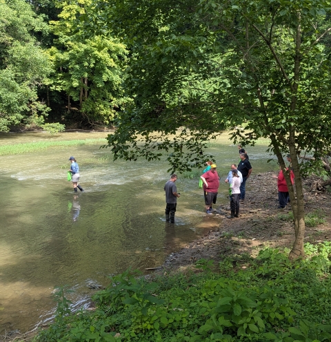 Image of 7 people standing in a small stream.