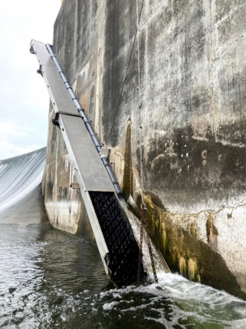 An eel passage system, called an eel ladder, installed on the side of a concrete dam. The structure extends from the water's edge upward to the top of the dam wall, allowing the eels to travel upstream. 