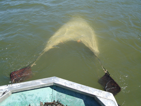 The electrified Otter trawl is being deployed off the bow