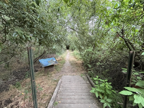 Interpretive sign at end of a boardwalk trail