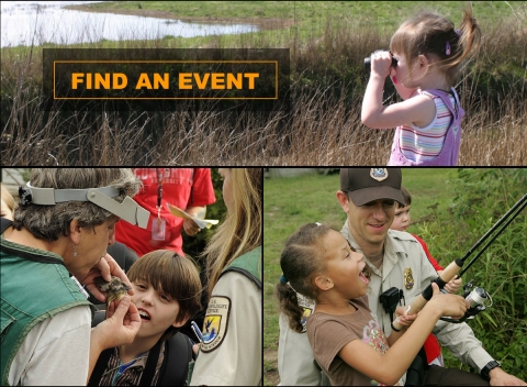 Find an event. Photo collage of a little girl looking through binoculars, Service staff showing wildlife to kids, and a little girl fishing.