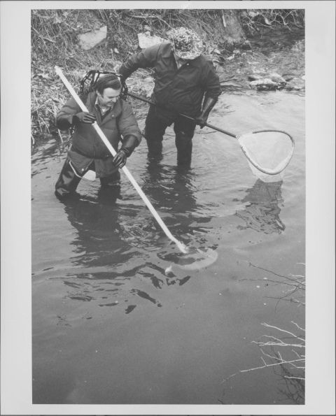 Two people standing in a stream or river, with the water up to their knees. The person in front, on the left, is operating an electrofisher, with consists of a hand-held device that looks like a long metal pole, and a device he wears on his back like a backpack. Behind him, and to the right is a man with a medium-sized fishing net with pole handle. Both wear wading boots, and rubber glooves, and are dressed in jackets or coats. The man in the background wears a camouflaged-patterned broadbrimmed hat.