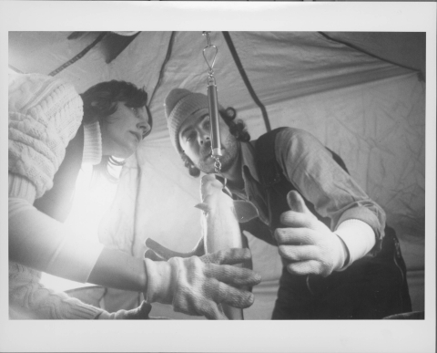 Close-up of two people weighing a medium-sized fish via an apparatus that is suspended from above (out of frame) and attached to the fish via a hook in the fish's gill; the fish is suspended vertically. The appear to be in a tent-like structure, and an opening behind them, from which light is spilling through. Both people wear gloves, and the person on the left is wearing a knit sweater. The person on the right appears to wear a pair of coveralls, as well as a knit cap.