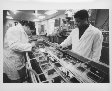Two people working in a laboratory, both dressed in white lab coats. The person on the right has "Mr. White" written on the chest pocket of his coat. They are working with a rectangular lab table, center, that appears to feature a tank of water with several transparent containers in/on the water's surface. Small pipes and lines are featured on the table. Other laboratory equipment can be seen in the background.