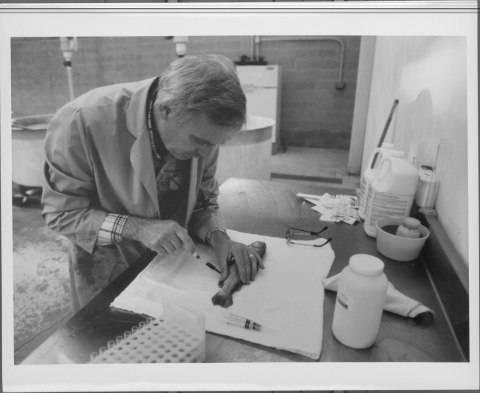 Man, on the left, wearing a lab coat, and in the act of using a syringe on a small fish on a pad on the table in front of him. The table features various bottles, containers, syringes, other small laboratory equipment. Visible behind him are at least two medium-sized circular fish tanks. Along the back wall is what appears to be a refrigerator (or some device that resembles one).