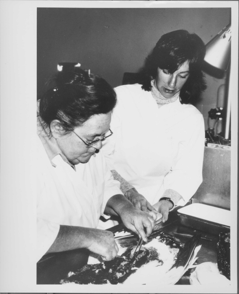 Two people working in a lab, dissecting a bird on a table in front of them; both people wear white lab coats. Other lab equipment is just visible behind them.