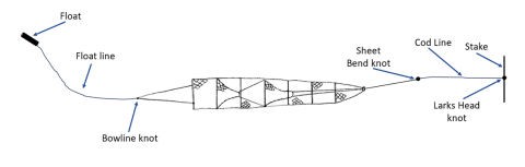 Hoop net positioned by a stake