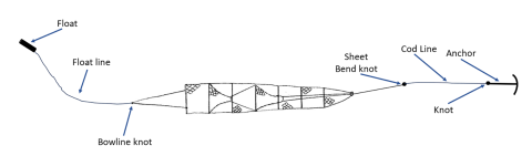 Hoop net positioned by an anchor (in flowing water)