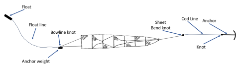 Hoop net held open by an anchor weight (in low-flow conditions)