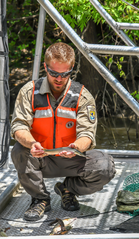Examining part of the catch.