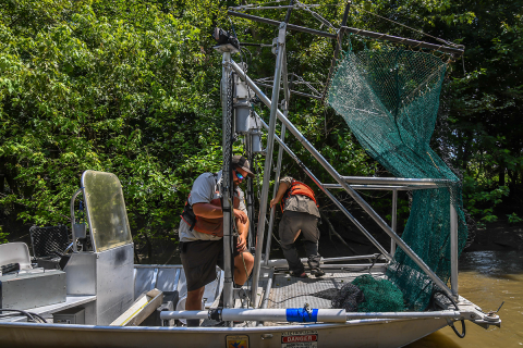 Electrified Dozer trawl being placed into location to make a sampling pass. 