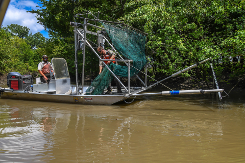 The frame trawl has been fully lifted from the water and brought onto the deck. 