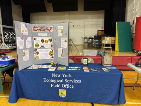 An outreach booth with a blue table cloth and a trifold poster with information on pollinators, bats, and the Endangered Species Act in a school gym