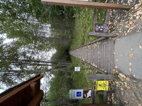 Boardwalk trail into the forest with signs on both sides