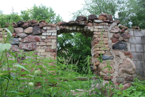 The ruins of an old farmhouse entrance surrounded by growing foliage