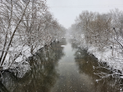 a creek surrounded by leafless deciduous trees covered in snow