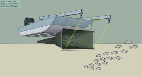 Drawing of non-electrified Dozer Trawl in sampling operation