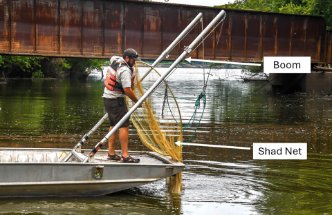 This Push trawl uses a Shad net, a type of frame trawl.